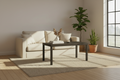 Wide angle coffee table scene